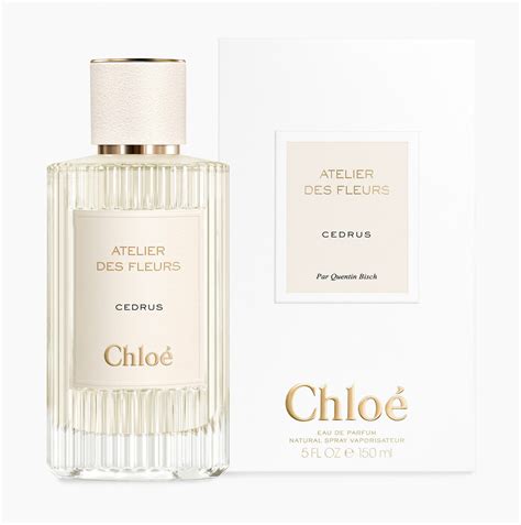 chloe perfume cedrus.